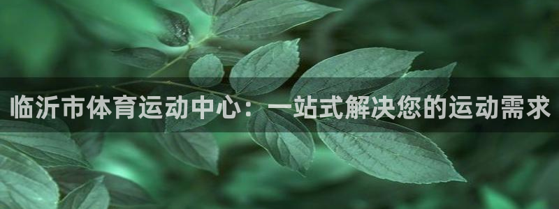 公海赌赌船官方正版app集团E.ON：临沂市体育运动