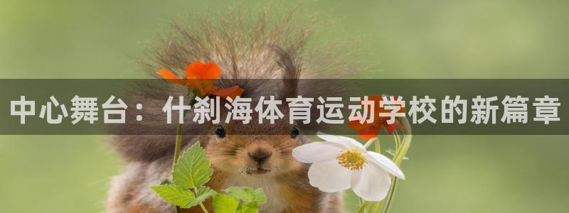 公海赌赌船官网下载平台：中心舞台：什刹海体育运动学校