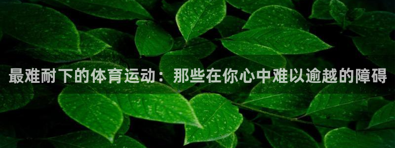 公海赌赌船官网下载娱乐：最难耐下的体育运动：那些在你