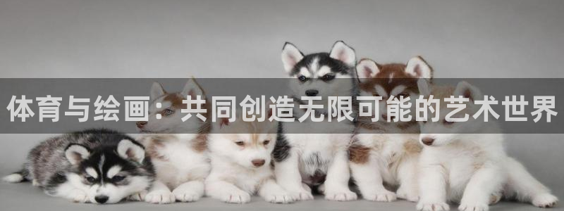 公海赌赌船官方正版app代理：体育与绘画：共同创造无