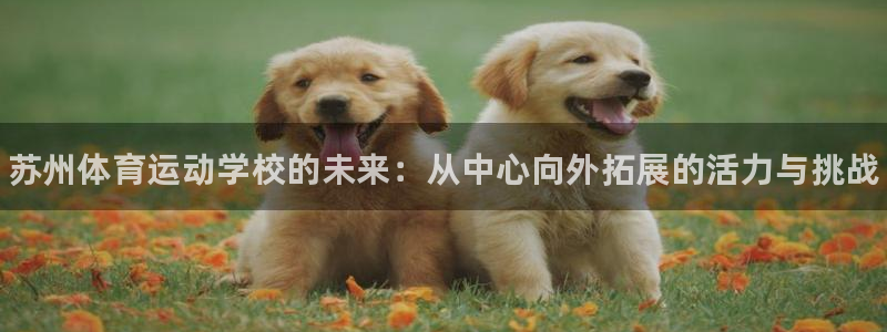 公海赌赌船官网下载平台是正规平台吗：苏州体育运动学校