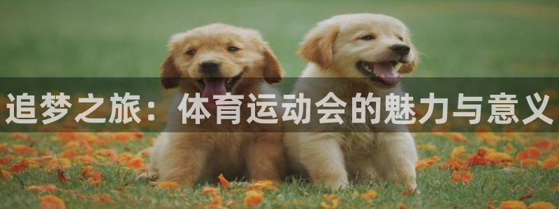 公海赌赌船官方正版app集团：追梦之旅：体育运动会的