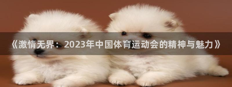 公海赌赌船官方正版app娱乐代理怎么样：《激情无界：