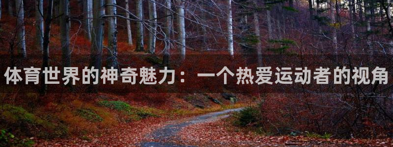 德国公海赌赌船官方正版app集团：体育世界的神奇魅力