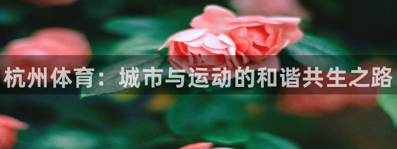 公海赌赌船官网下载联系电话：杭州体育：城市与运动的和