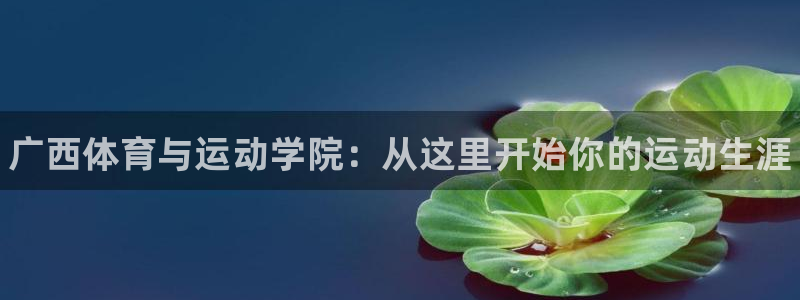 公海赌赌船官网下载联系电话：广西体育与运动学院：从这