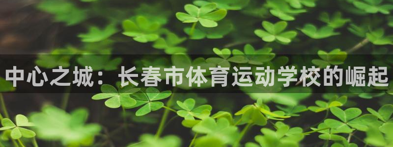 公海赌赌船官方正版app集团官网网址：中心之城：长春