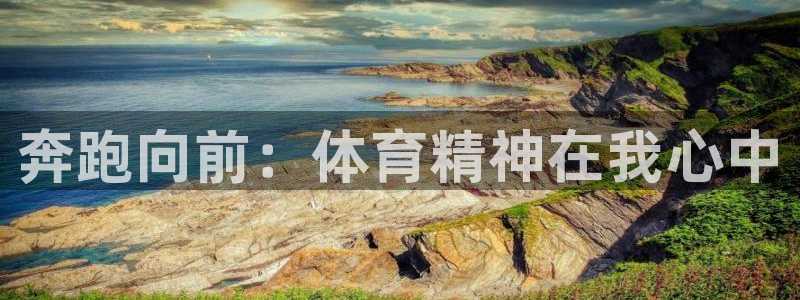 公海赌赌船官方集团官网：奔跑向前：体育精神在我心中