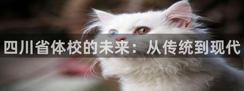 公海赌赌船官方正版app集团：四川省体校的未来：从传统到现代