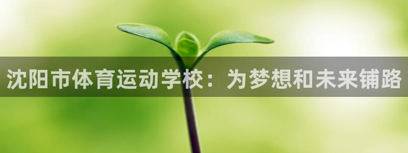 公海赌赌船官方正版app科技：沈阳市体育运动学校：为梦想和未