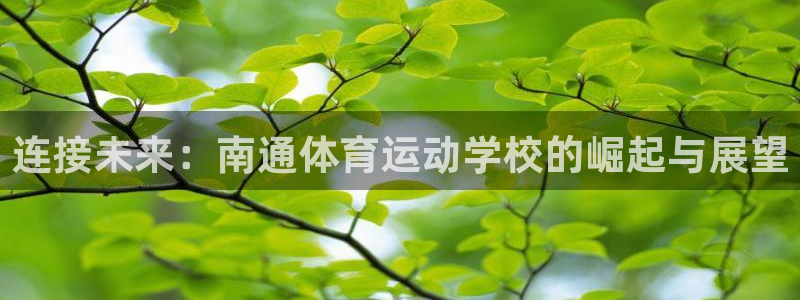 公海赌赌船官方正版app娱乐首页网站大全：连接未来：