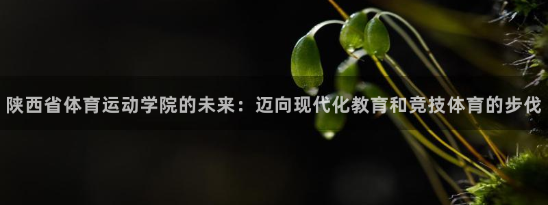 公海赌赌船官网下载招商电话地址查询：陕西省体育运动学