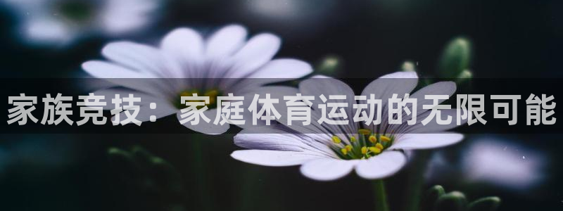 公海赌赌船官网下载是干嘛的公司：家族竞技：家庭体育运