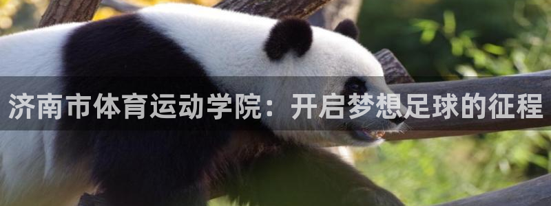 公海赌赌船官网下载娱乐：济南市体育运动学院：开启梦想足球的征
