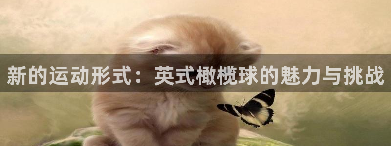 公海赌赌船官方正版app官网：新的运动形式：英式橄榄球的魅力