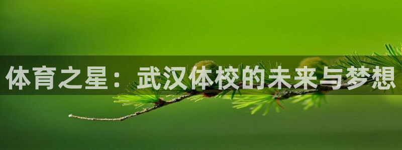 公海赌赌船官方正版app娱乐网站：体育之星：武汉体校的未来与