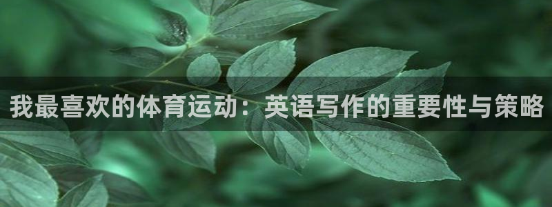 公海赌赌船官网下载平台注册要钱吗安全吗：我最喜欢的体育运动：