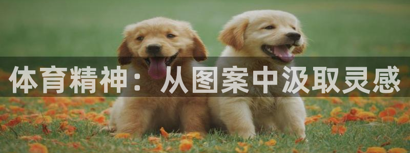 公海赌赌船官方正版app集团官网网址