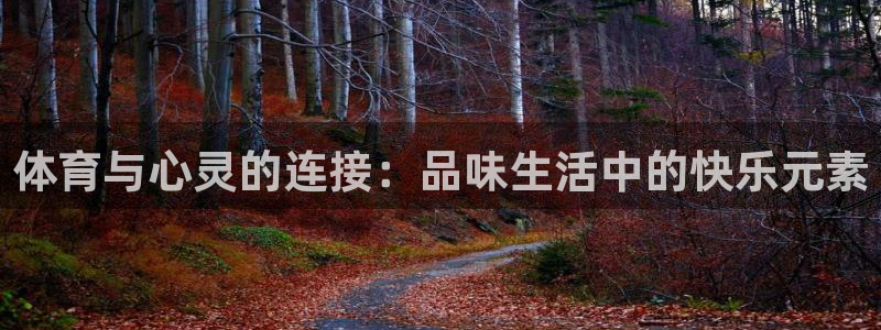 公海赌赌船官网下载注册