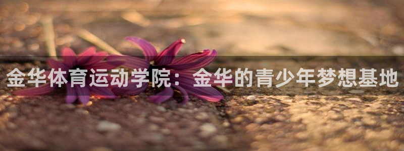 公海赌赌船官方正版app代理：金华体育运动学院：金华的青少年