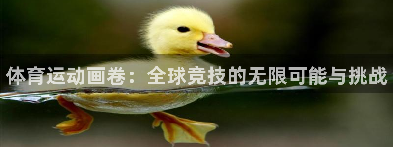 公海赌赌船官方正版app娱乐平台：体育运动画卷：全球竞技的无